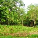 dsc02122