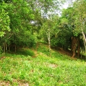 dsc02123